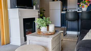 TV, fireplace