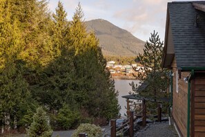 Property grounds - Eagle Cabin I Wild Pacific Trail I Kayak I Forest (Ucluelet)