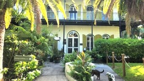 A building with a yellow facade, arched windows, and a balcony. There is a pathway leading to the entrance, surrounded by lush greenery and palm trees. - Duval Street Suites full kitchen, free parking, & heated pool (Key West)