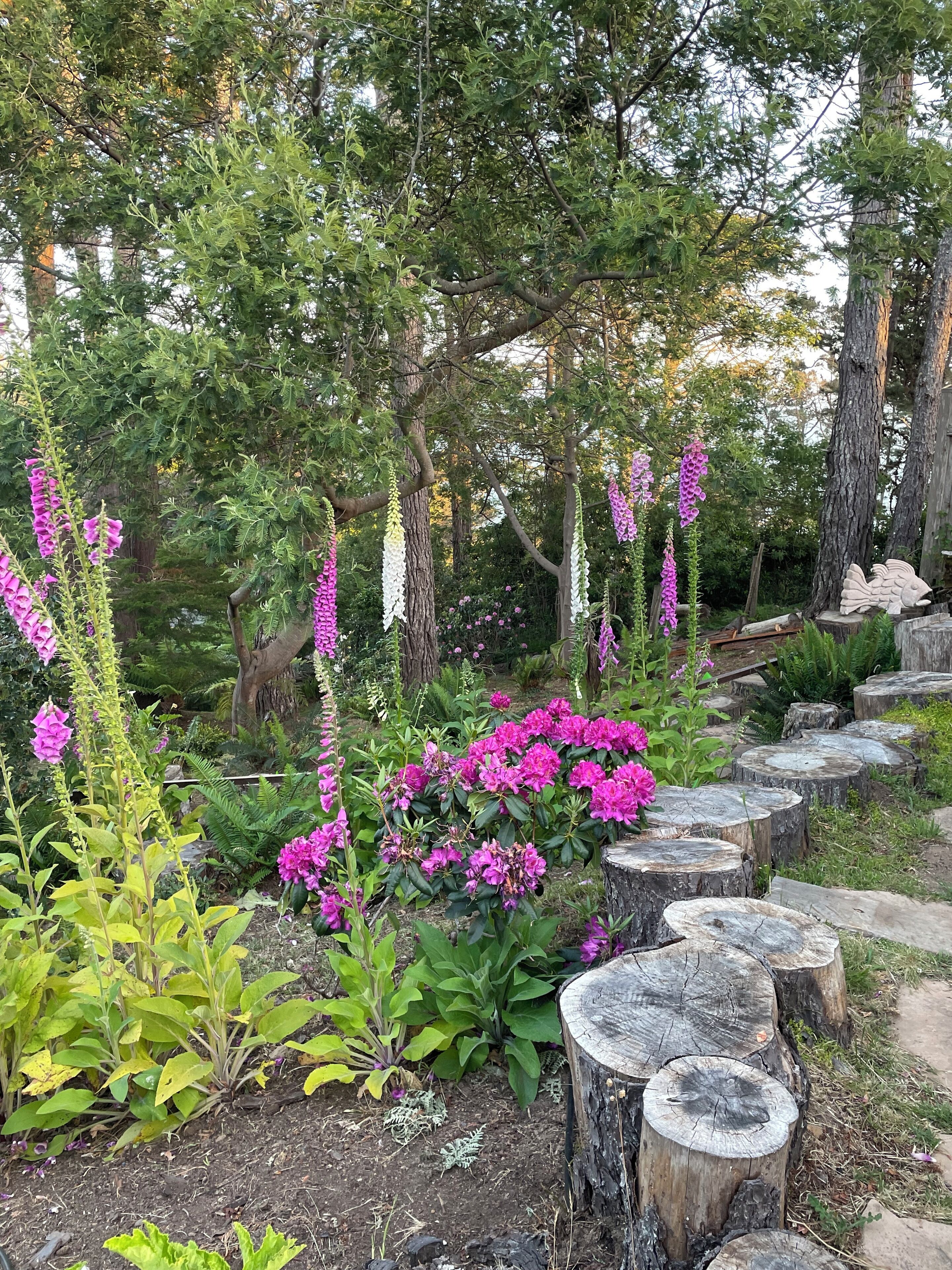 A garden with flowering plants, trees, and wooden stumps arranged in a row.