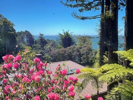 Vista desde la habitación