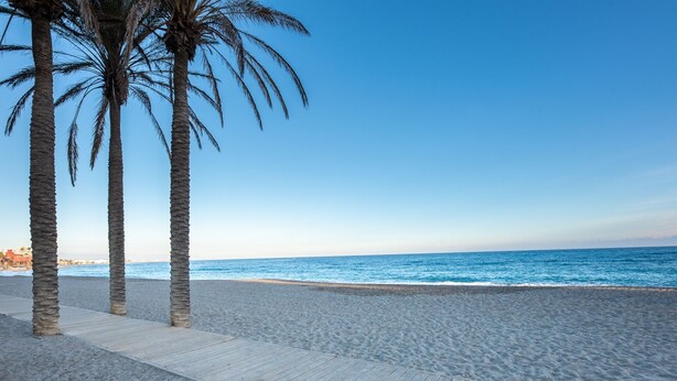 Ein hölzerner Steg führt zu einem Strand mit Palmen und einem klaren, blauen Himmel.