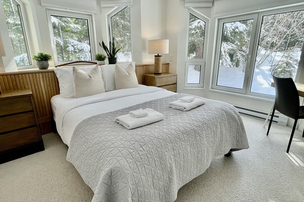 A wall of windows wraps you in nature