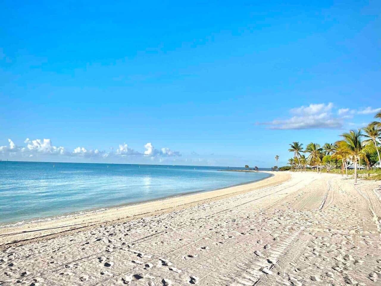 サンラウンジャー、ビーチタオル