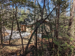 Escape to a secluded cabin surrounded by lush greenery, nestled in a dense forest.