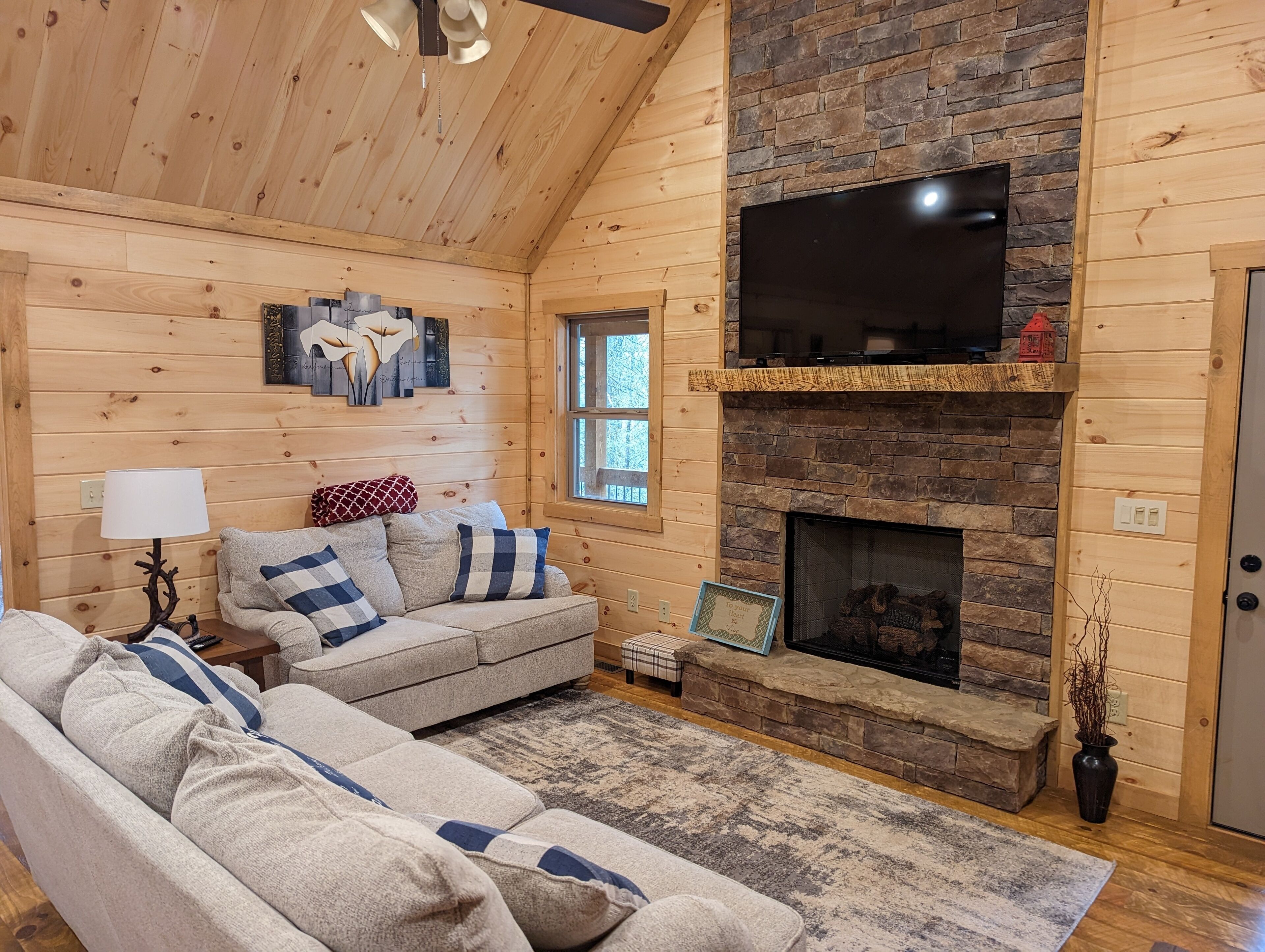 智能电视、壁炉、DVD 播放器、书