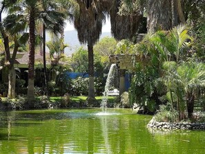 Jardines del alojamiento