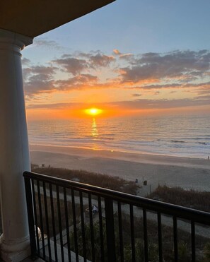 Property grounds - Dolphin Cove: 2 BR Oceanfront Condo with Pool (Myrtle Beach)