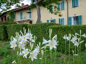 Dettaglio esterni
