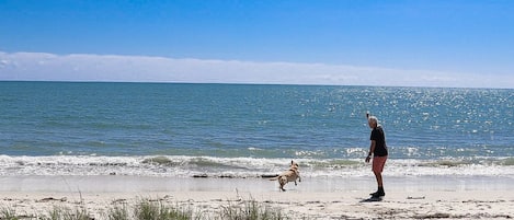 Sur la plage
