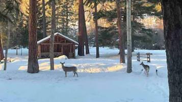Espreguiçadeiras, toalhas de praia