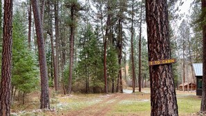 Metsäpolku johtaa mökille, ja opastekyltissä näkyy polun suunta.