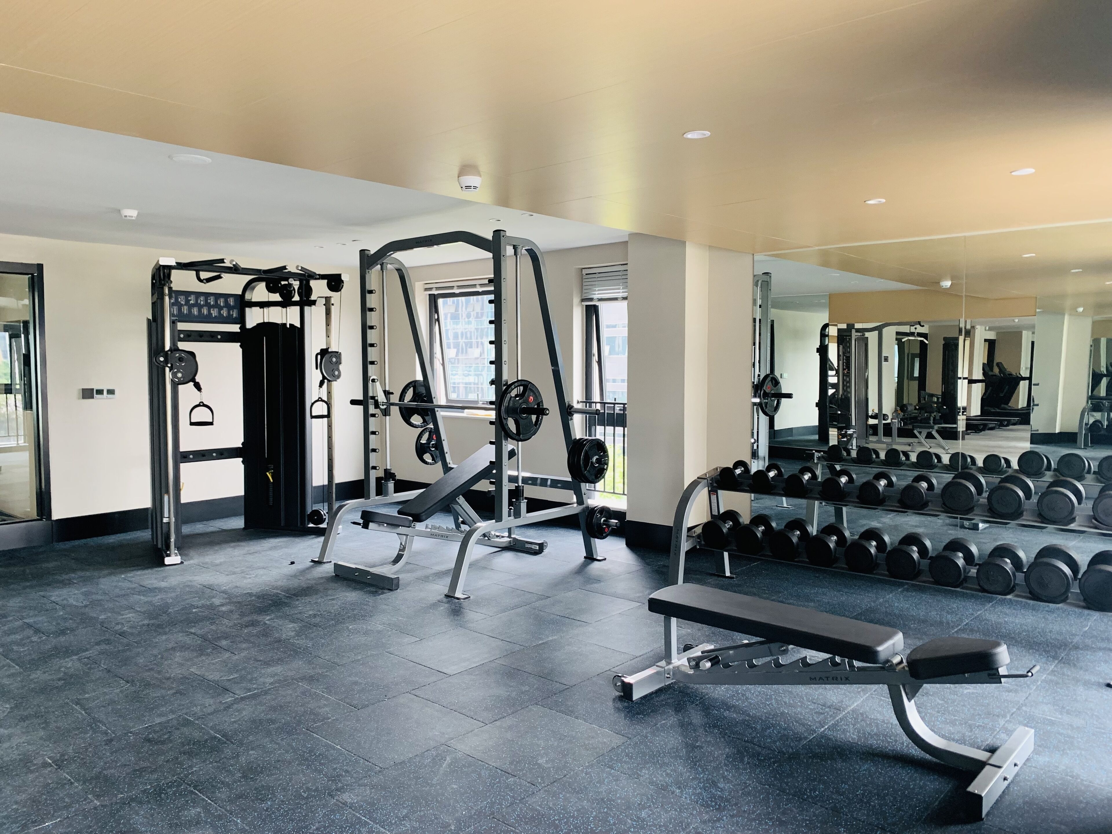 A modern gym with weightlifting equipment, a bench, and a rack of dumbbells.