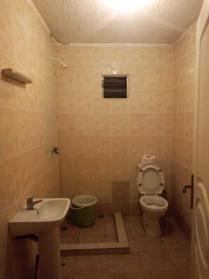 A small bathroom with a sink, toilet, and shower area.