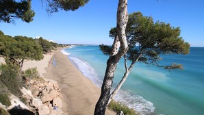 A beach with clear turquoise water, a sandy shore, and a tree in the foreground. - Apartamento Gavines, Miami Playa (Miami Playa)