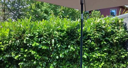 Studios for rent in Collonges sous Salève