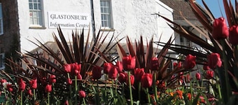 No 28C St Benedict-with outside courtyard
