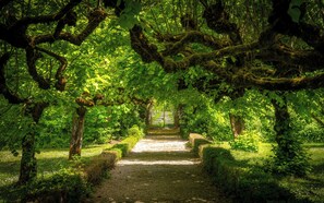 A pathway through a lush garden with trees and greenery. - Beautiful cottage with swimming pool and tennis (Lempaut)