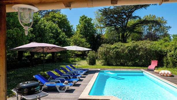 A poolside area with lounge chairs and umbrellas, surrounded by greenery.