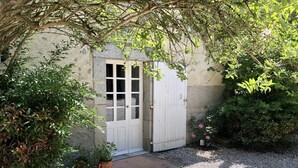 A garden entrance with a white door, gravel path, potted plants, and a metal grate.