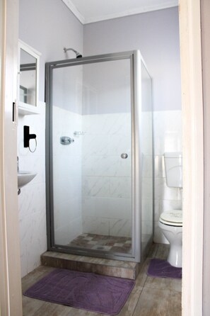 Bathtub, soap, toilet paper - A 3 bed sanctuary for peace and relaxation. (Bulawayo)