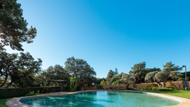 Piscina cristalina rodeada de césped cuidado y árboles.