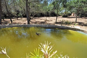 المنطقة المحيطة بالمنشأة