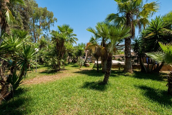 A lush garden with palm trees and a clear blue sky.
