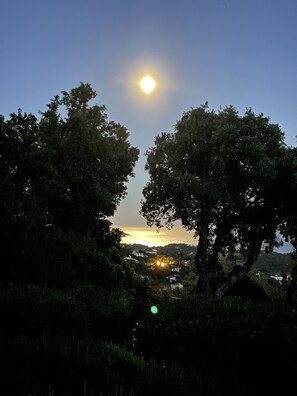 A sunset view through trees with a distant village and hills. - Vacation home with a beautiful ocean view (La Croix-Valmer)