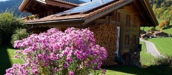 Holiday apartment Diemtigen for 1 - 6 persons with 3 bedrooms - Farmhouse