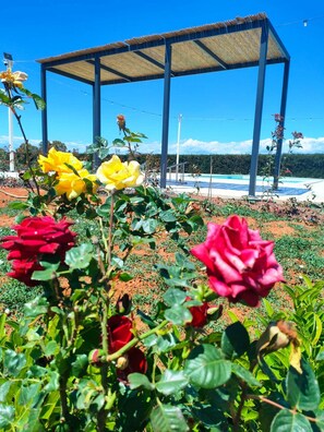 Property grounds - 5 minutes from the sea of Gallipoli, Eco Villa with private and independent pool (alezio)