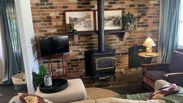 Smart TV, fireplace, books