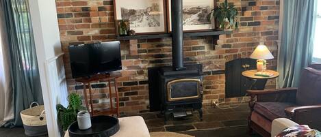 Smart TV, chimenea y libros 