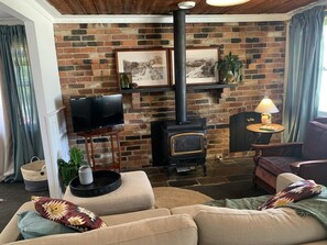 Smart TV, fireplace, books