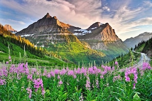 A mountainous landscape with a road leading through it, surrounded by green fields and purple flowers. - Walk downtown/Ski/Play/ Explore Glacier/Hot Tub/Parking (Whitefish)