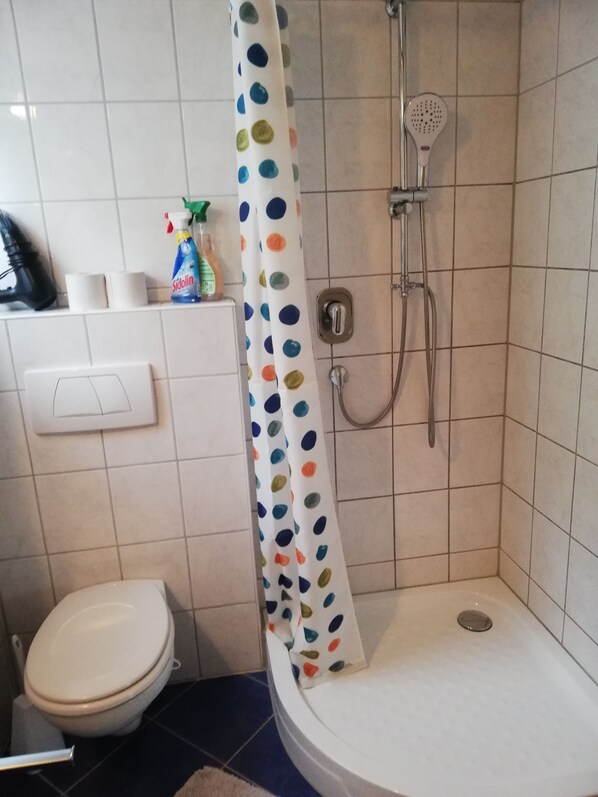 A bathroom with a shower, toilet, and a toilet paper holder. - Vacation apartment on Lake Constance—compact, idyllic, and affordable. (Überlingen)
