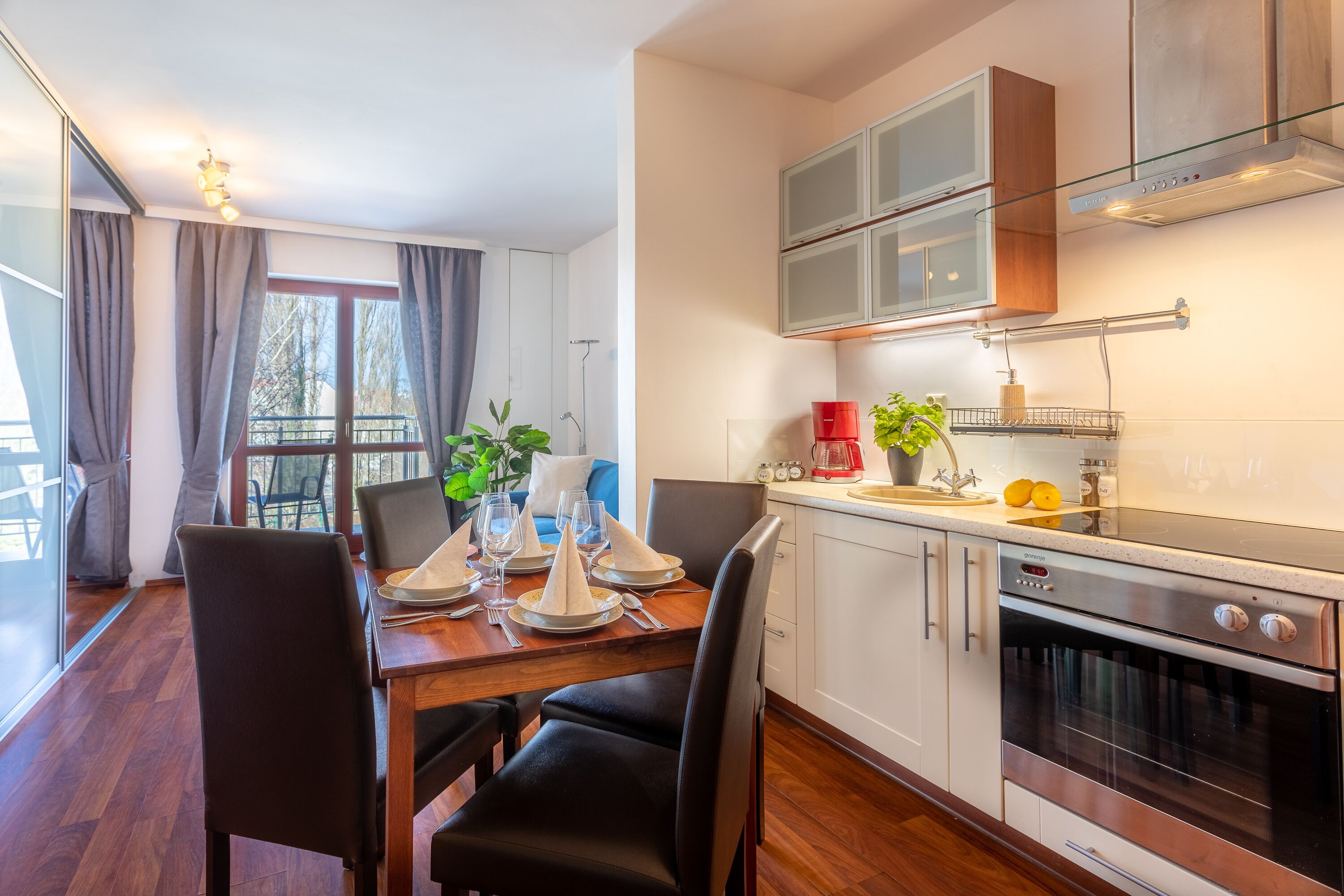 Fridge, oven, stovetop, coffee/tea maker