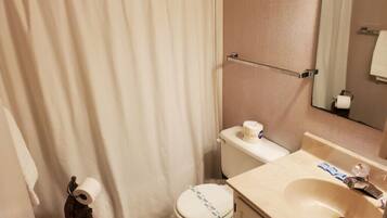Combined shower/tub, hair dryer, towels