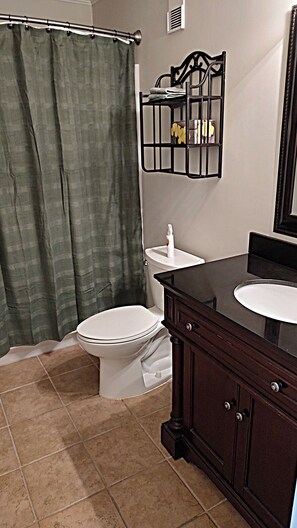 Combined shower/bathtub, hair dryer, towels