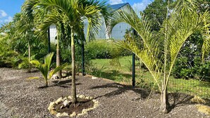 A garden with palm trees and a fence, with a building in the background. - Modern Surf'Kreol villa 3 min from Le Souffleur - Fibre - Swimming pool (Port-Louis)