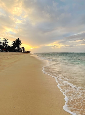 A beach with a clear sky and palm trees.