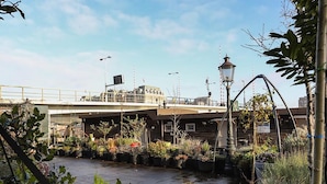 Un jardin sur le toit, agrémenté de plantes en pot, un lampadaire et une vue sur un pont et des bâtiments en arrière-plan.