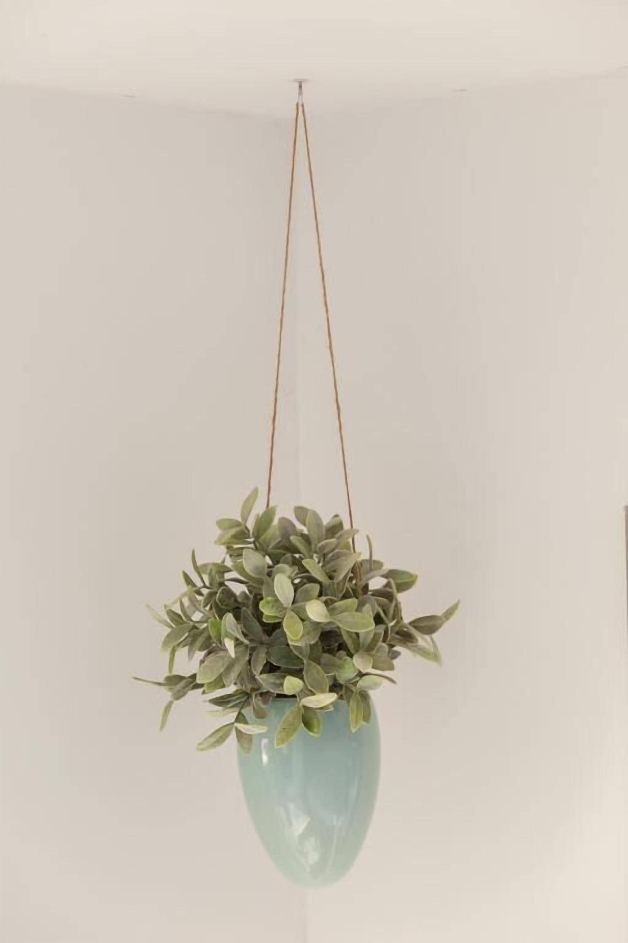 Foto - Houseboat Little Amstel