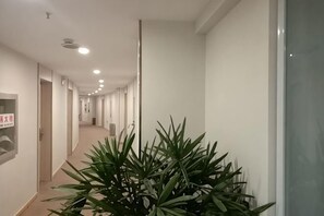 Un pasillo largo y estrecho con puertas a ambos lados, una planta en maceta en el centro y un letrero en la pared izquierda.