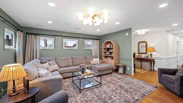 Télévision, cheminée, jeux vidéo, chaîne hi-fi