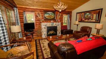 TV, fireplace, books