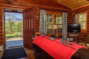 TV, fireplace, books