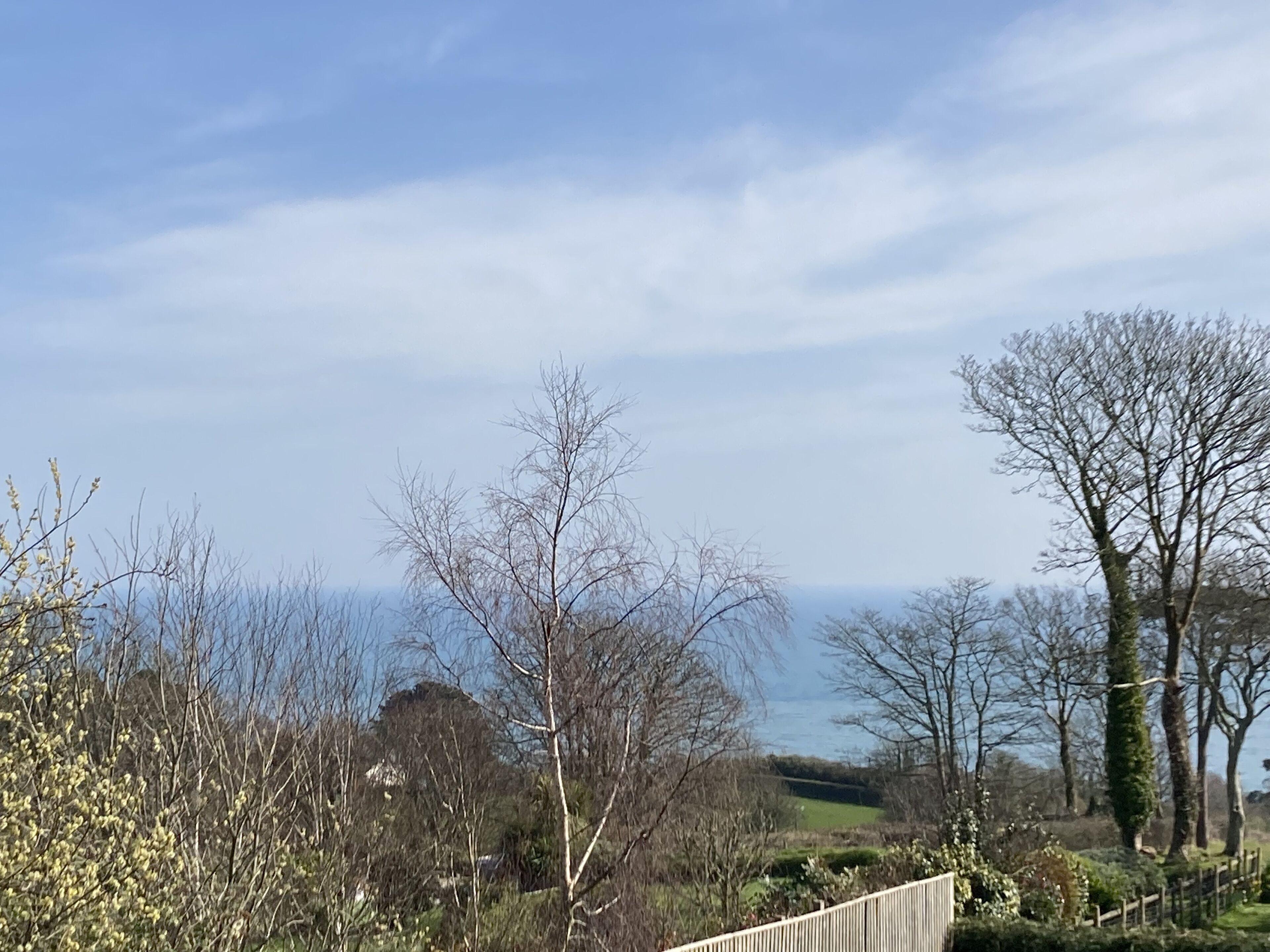 A rural landscape with a wooden fence, leafless trees, and a distant view of a green field and a body of water.