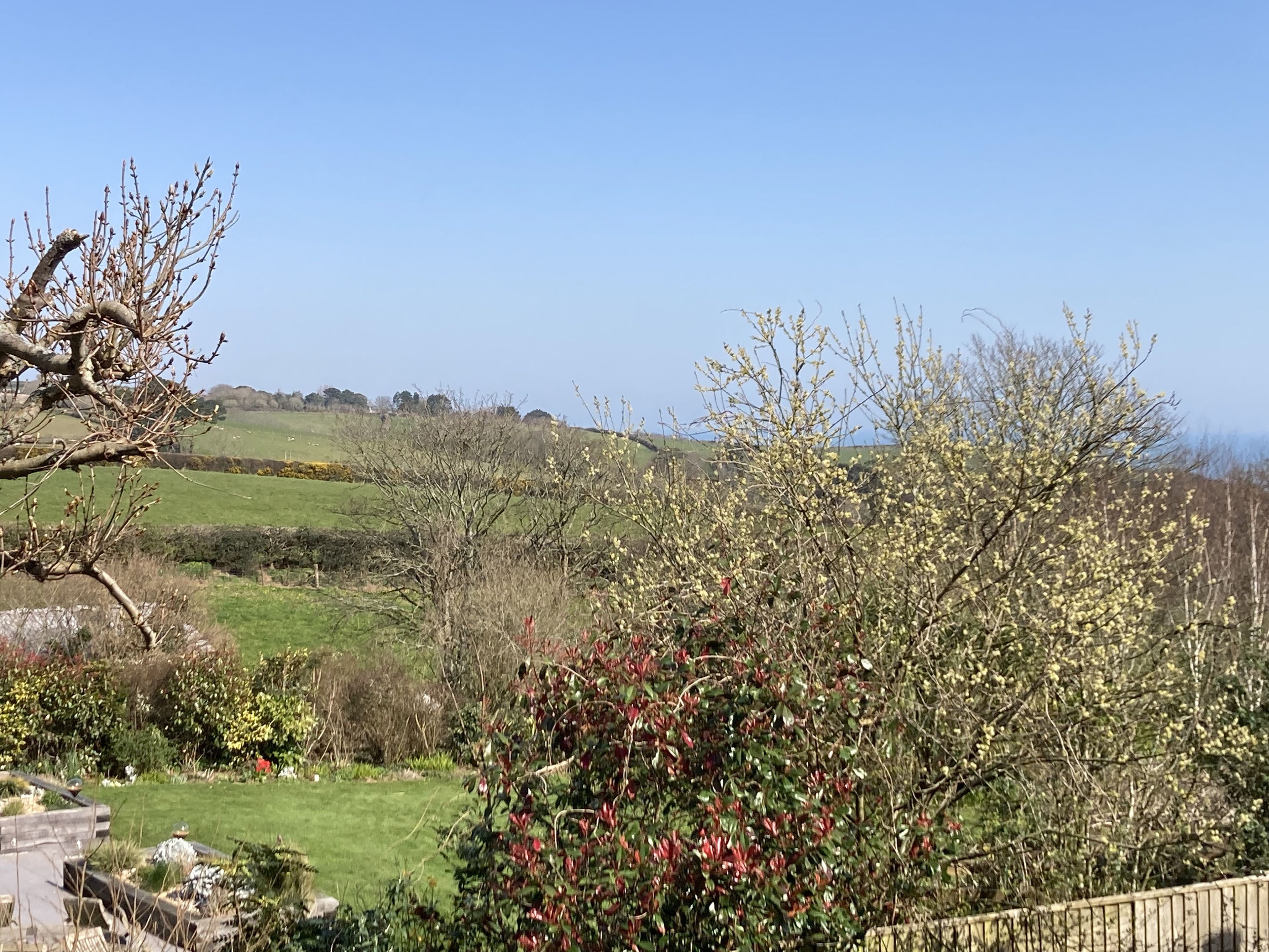 平房 | 住宿內部