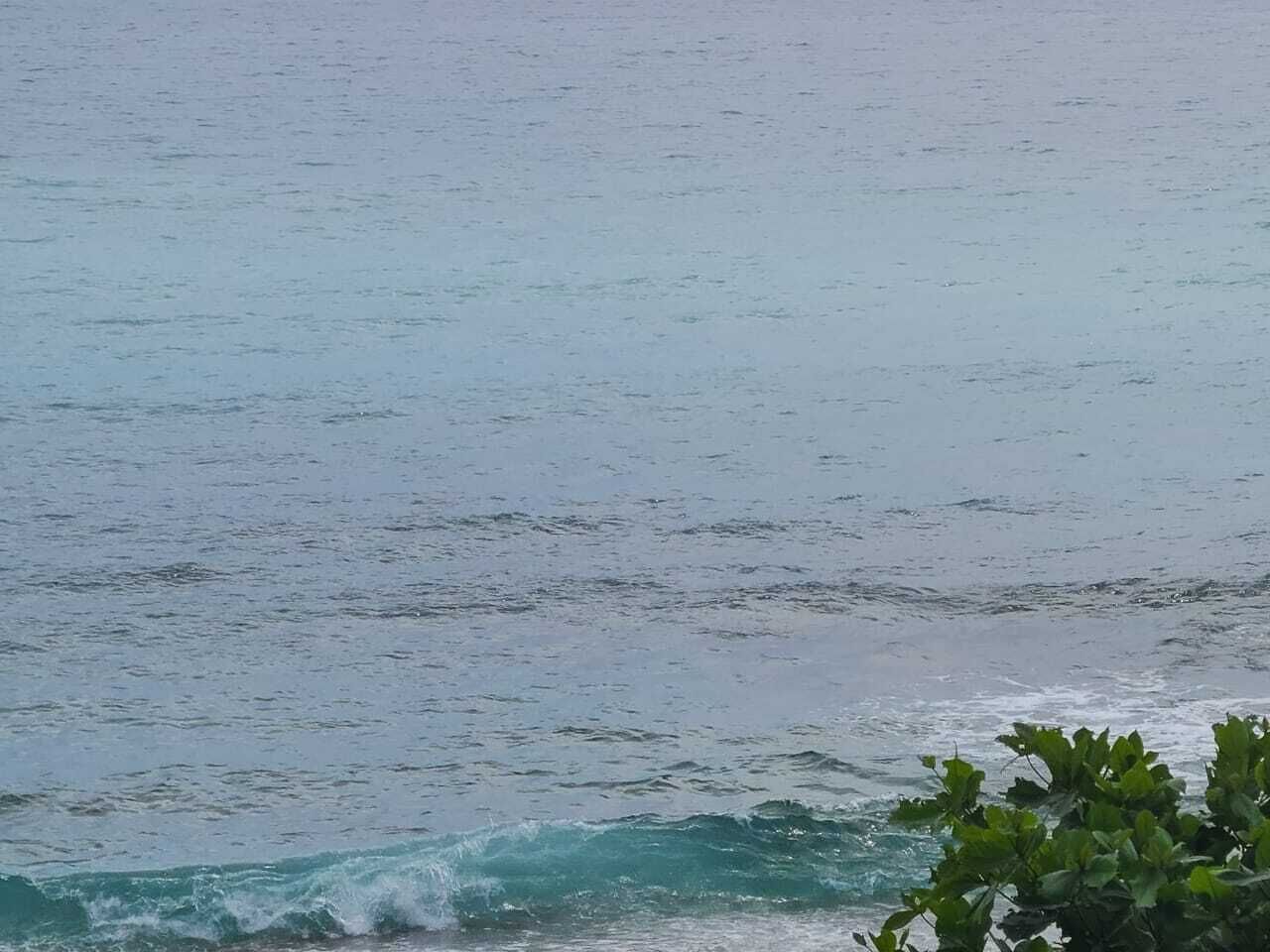 海灘